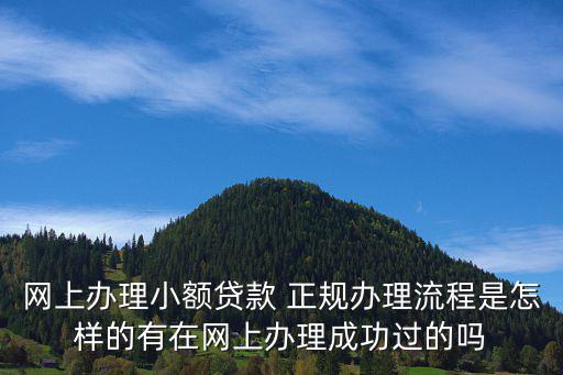 網(wǎng)上辦理小額貸款 正規(guī)辦理流程是怎樣的有在網(wǎng)上辦理成功過(guò)的嗎