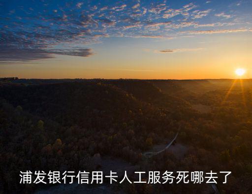 浦發(fā)人工服務(wù)怎么轉(zhuǎn)，浦發(fā)銀行客服怎么轉(zhuǎn)人工
