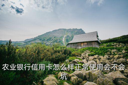 農(nóng)行悠游信用卡怎么樣，中國農(nóng)業(yè)銀行信用卡怎么樣