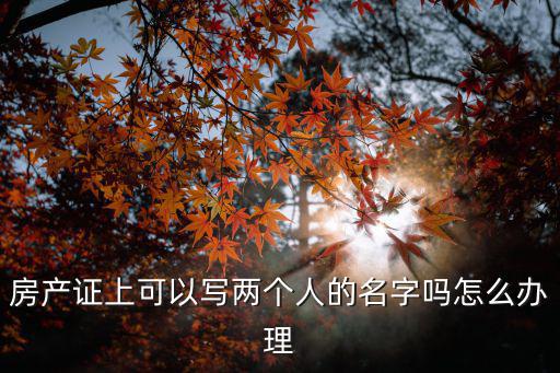 房產(chǎn)證上可以寫兩個人的名字嗎怎么辦理
