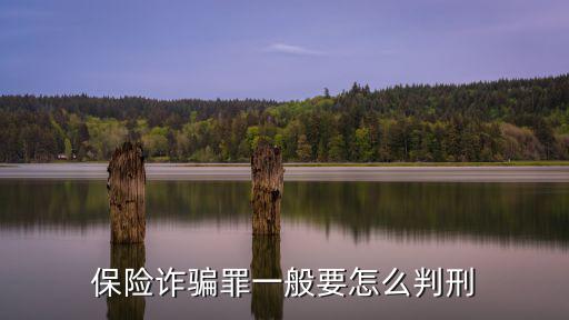 保險詐騙怎么判刑，保險詐騙罪一般要怎么判刑