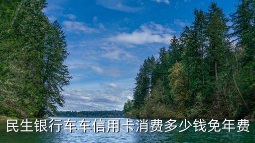 民生車車卡怎么消費，民生車主信用卡怎么使用才能有一個月4次1元洗車