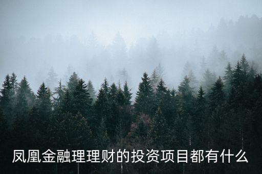 金鳳凰理財怎么投資，在鳳凰金融進行理財?shù)脑捲趺礃影?/></a></span><span id=