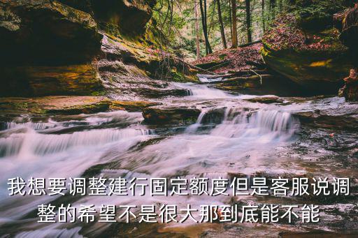我想要調(diào)整建行固定額度但是客服說調(diào)整的希望不是很大那到底能不能