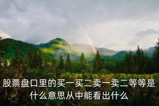 股票盤口里的買一買二賣一賣二等等是什么意思從中能看出什么