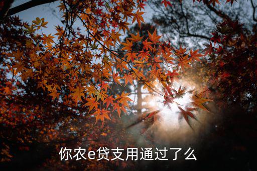 你農(nóng)e貸支用通過(guò)了么