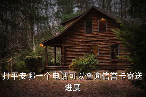 平安銀行怎么查詢進(jìn)度查詢，打平安哪個(gè)電話可以查詢信用卡寄送進(jìn)度