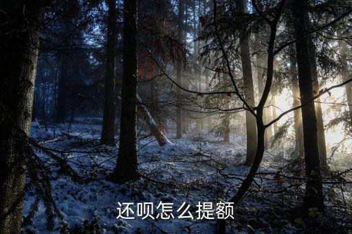 還唄怎么提額