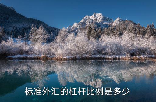 標準外匯的杠桿比例是多少