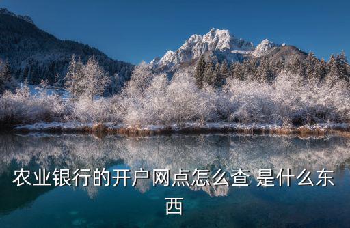 農(nóng)業(yè)銀行的開(kāi)戶網(wǎng)點(diǎn)怎么查 是什么東西