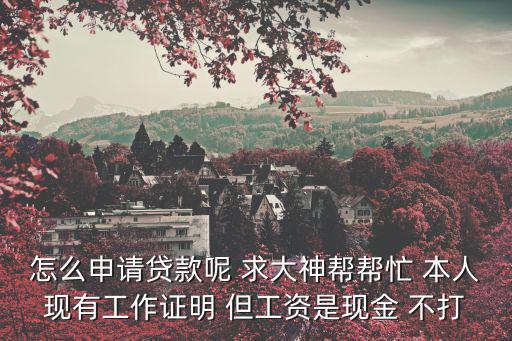怎么申請(qǐng)貸款呢 求大神幫幫忙 本人現(xiàn)有工作證明 但工資是現(xiàn)金 不打