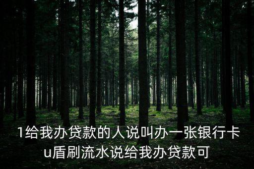  1給我辦貸款的人說叫辦一張銀行卡u盾刷流水說給我辦貸款可
