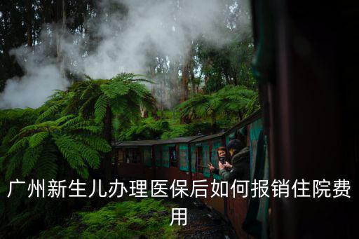 廣州新生兒辦理醫(yī)保后如何報(bào)銷(xiāo)住院費(fèi)用