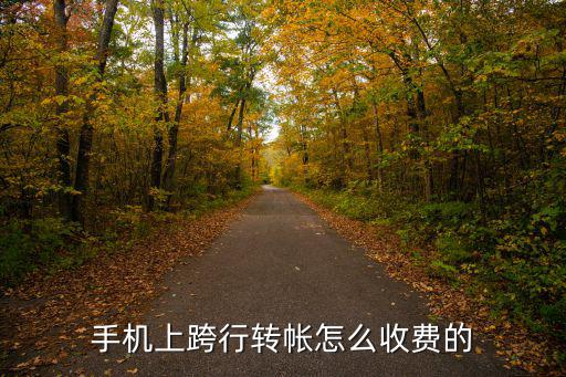 手機(jī)上跨行轉(zhuǎn)帳怎么收費(fèi)的