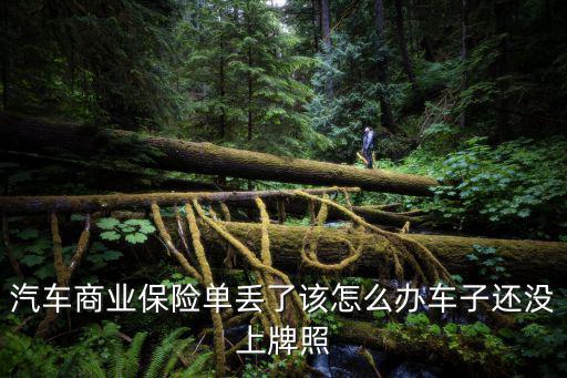 汽車商業(yè)保險(xiǎn)單丟了該怎么辦車子還沒上牌照