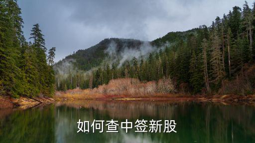 如何查中簽新股