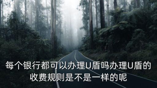 每個(gè)銀行都可以辦理U盾嗎辦理U盾的收費(fèi)規(guī)則是不是一樣的呢
