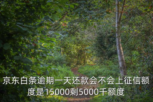 京東白條逾期一天還款會(huì)不會(huì)上征信額度是15000剩5000千額度