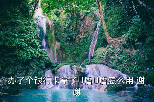 辦了個銀行卡拿了U盾U盾怎么用 謝謝