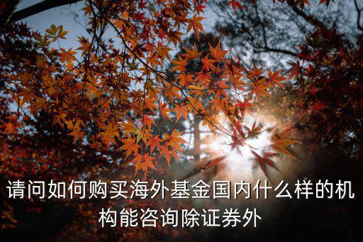 怎么買國(guó)外基金，請(qǐng)問(wèn)如何購(gòu)買海外基金國(guó)內(nèi)什么樣的機(jī)構(gòu)能咨詢除證券外