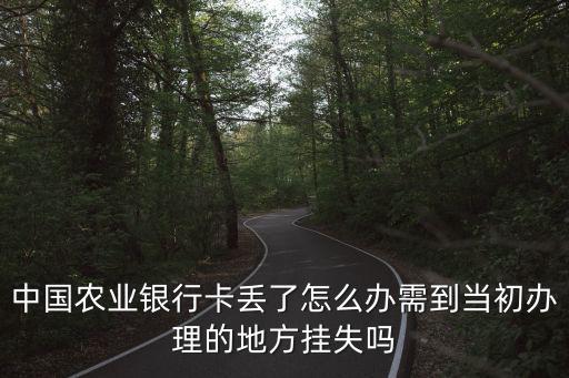 農(nóng)行儲蓄卡丟失怎么辦理，農(nóng)行的借記卡丟失如何補辦