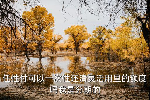 任性付可以一次性還清靈活用里的額度嗎我是分期的