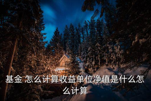 基金 怎么計(jì)算收益單位凈值是什么怎么計(jì)算