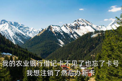我的農(nóng)業(yè)銀行借記卡不見了也忘了卡號我想注銷了然后辦新卡