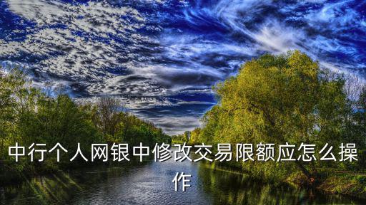 中行個人網(wǎng)銀中修改交易限額應(yīng)怎么操作