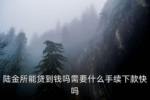 陸金所手機(jī)怎么借款，陸金所能貸到錢嗎需要什么手續(xù)下款快嗎