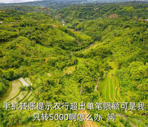 手機(jī)轉(zhuǎn)賬提示農(nóng)行超出單筆限額可是我只轉(zhuǎn)5000啊怎么辦  問
