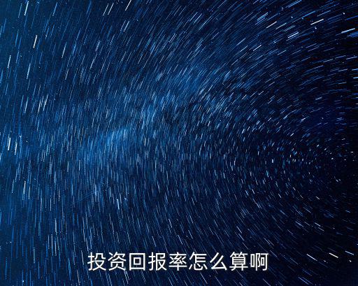 投資回報(bào)率怎么算啊