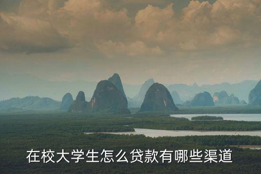 在校大學(xué)生怎么貸款有哪些渠道