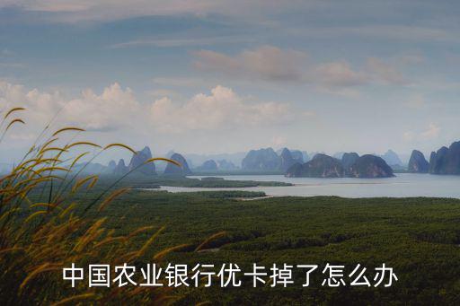 優(yōu)卡掛失 怎么取消，中國農業(yè)銀行優(yōu)卡掉了怎么辦
