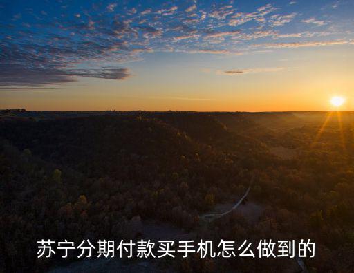 蘇寧易購分期付款怎么弄，蘇寧上面怎么分期付款