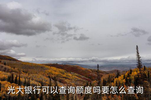 光大銀行可以查詢額度嗎要怎么查詢