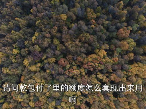 請(qǐng)問乾包付了里的額度怎么套現(xiàn)出來用啊