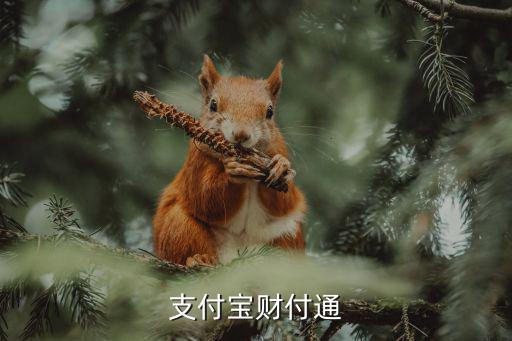 支付寶財付通