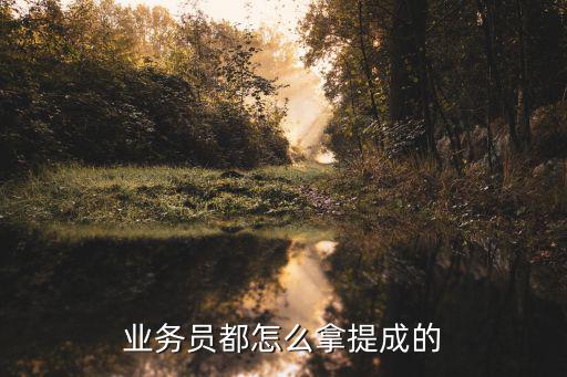 業(yè)務(wù)員都怎么拿提成的