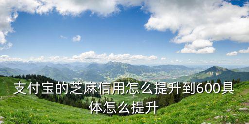 芝麻信用怎么上600分，支付寶的芝麻信用怎么提升到600具體怎么提升
