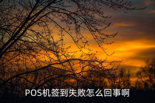 POS機(jī)簽到失敗怎么回事啊