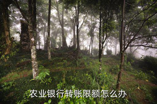 農行手機銀行限額怎么修改，怎么修改中國農行支付限額