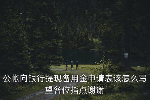 公帳向銀行提現(xiàn)備用金申請表該怎么寫望各位指點(diǎn)謝謝