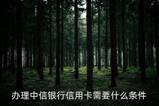 辦理中信銀行信用卡需要什么條件