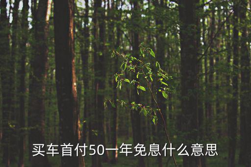 買車首付50一年免息什么意思