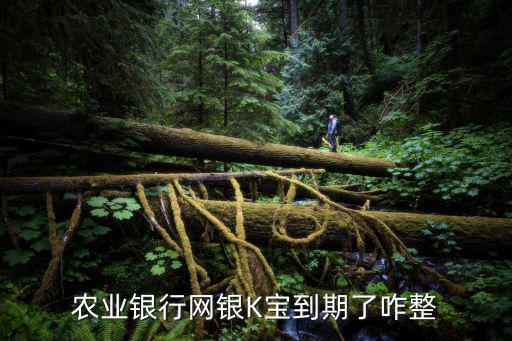 農(nóng)業(yè)銀行網(wǎng)銀K寶到期了咋整