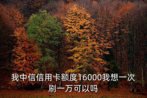 中信圓夢(mèng)金16000怎么刷，我中信信用卡額度16000我想一次刷一萬(wàn)可以嗎