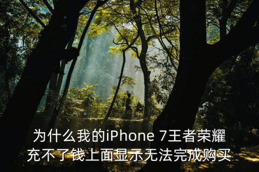 為什么我的iPhone 7王者榮耀充不了錢上面顯示無法完成購買