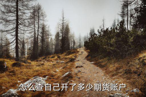 怎么查自己開了多少期貨賬戶
