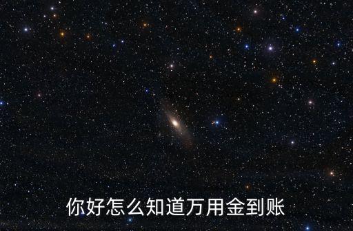 你好怎么知道萬用金到賬